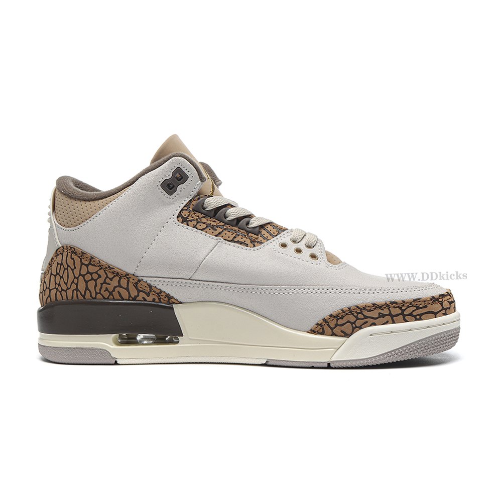 DD Jordan 3 Retro Palomino