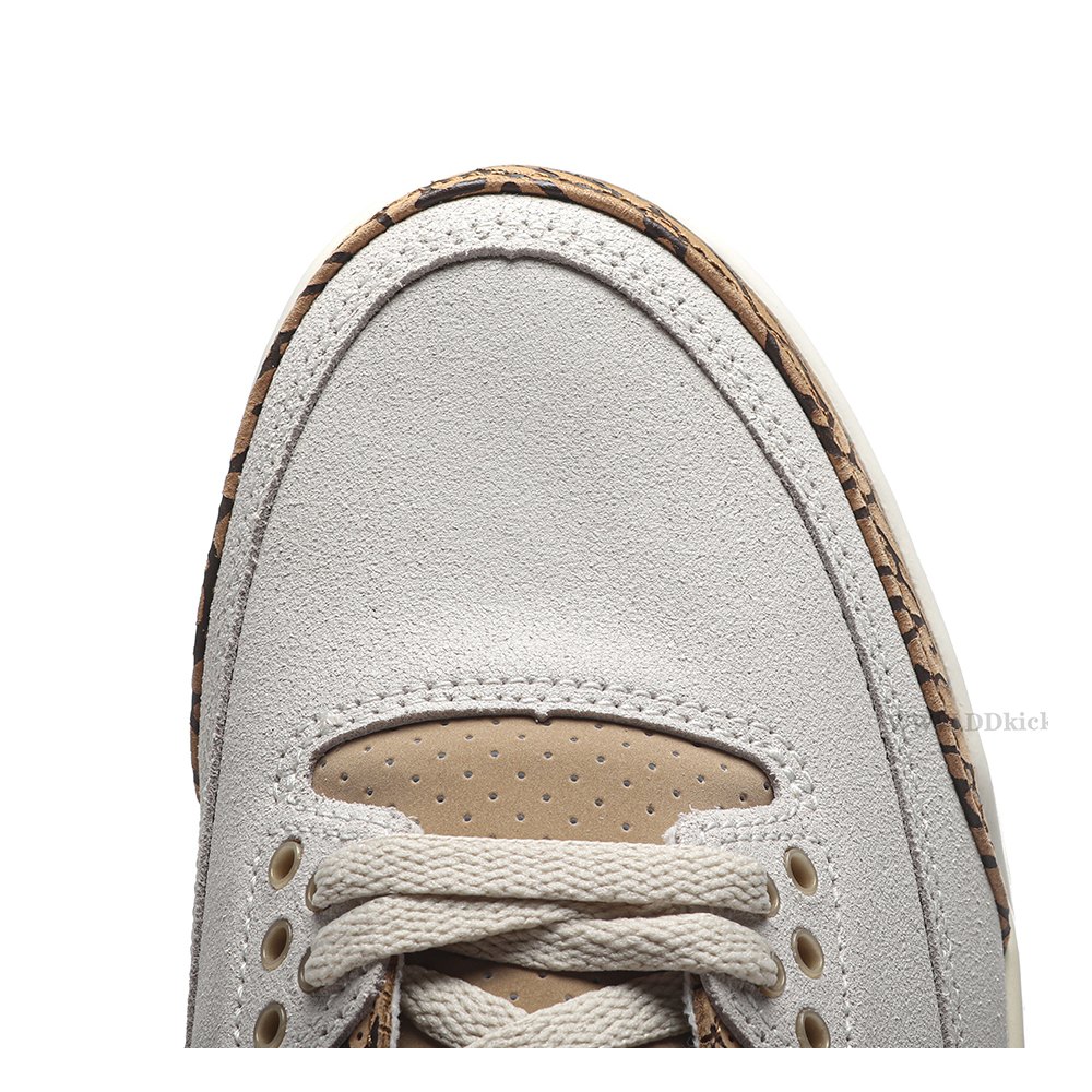 DD Jordan 3 Retro Palomino