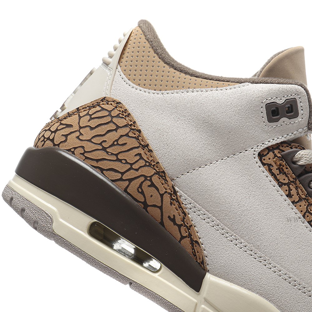 DD Jordan 3 Retro Palomino