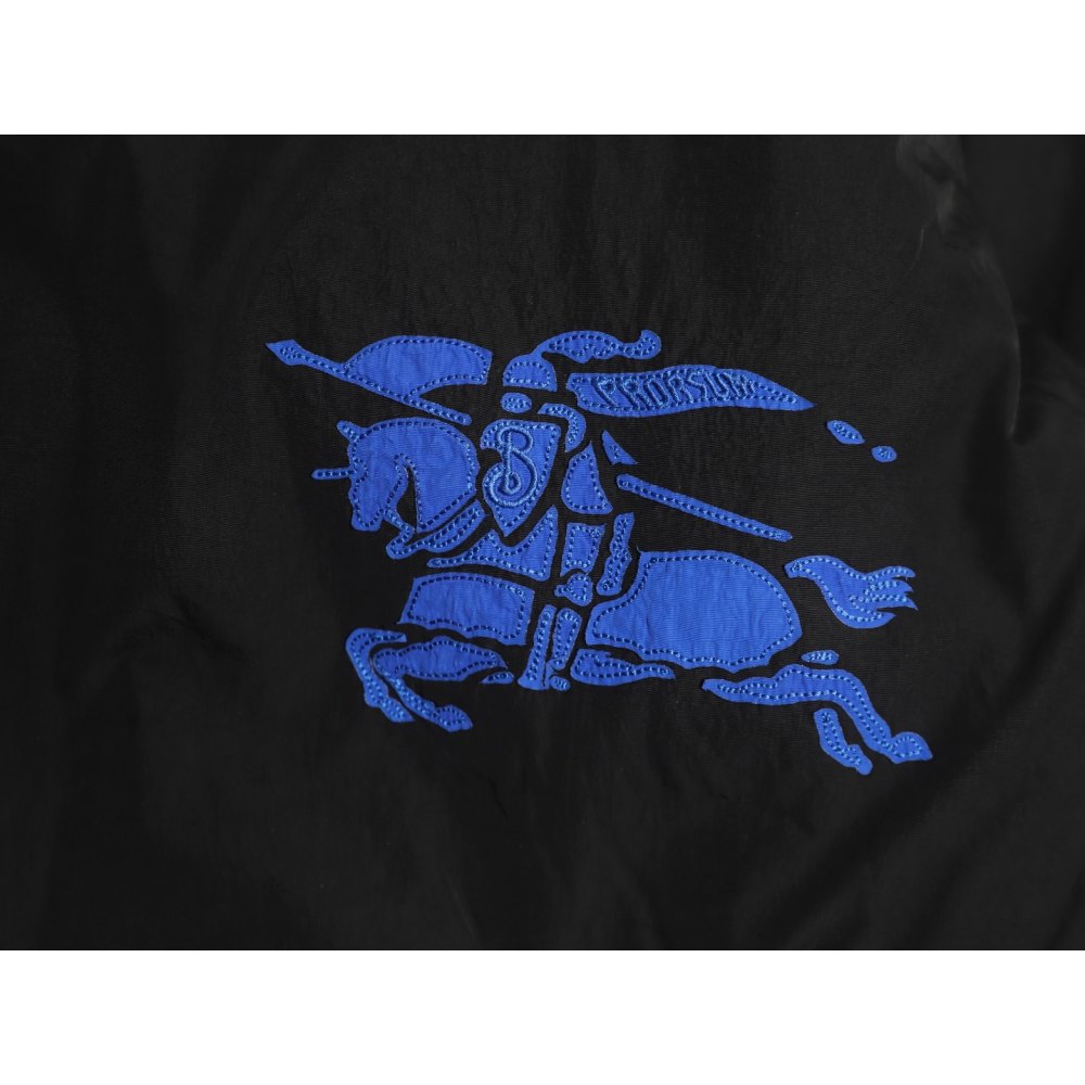 ddB**rry B**rry bbr 24 war horse embroidery hooded down jacket