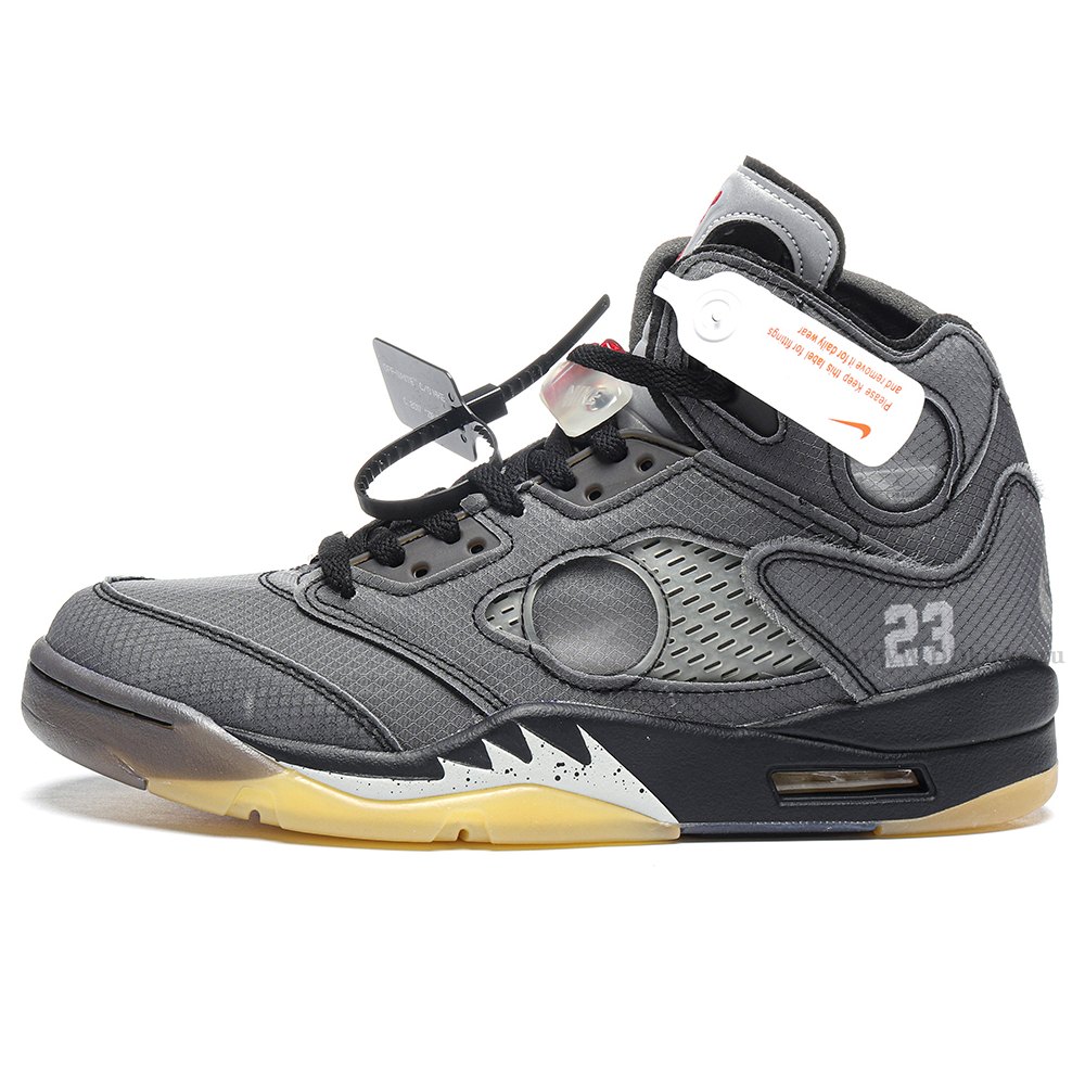 DD Jordan 5 Retro Off-White Muslin