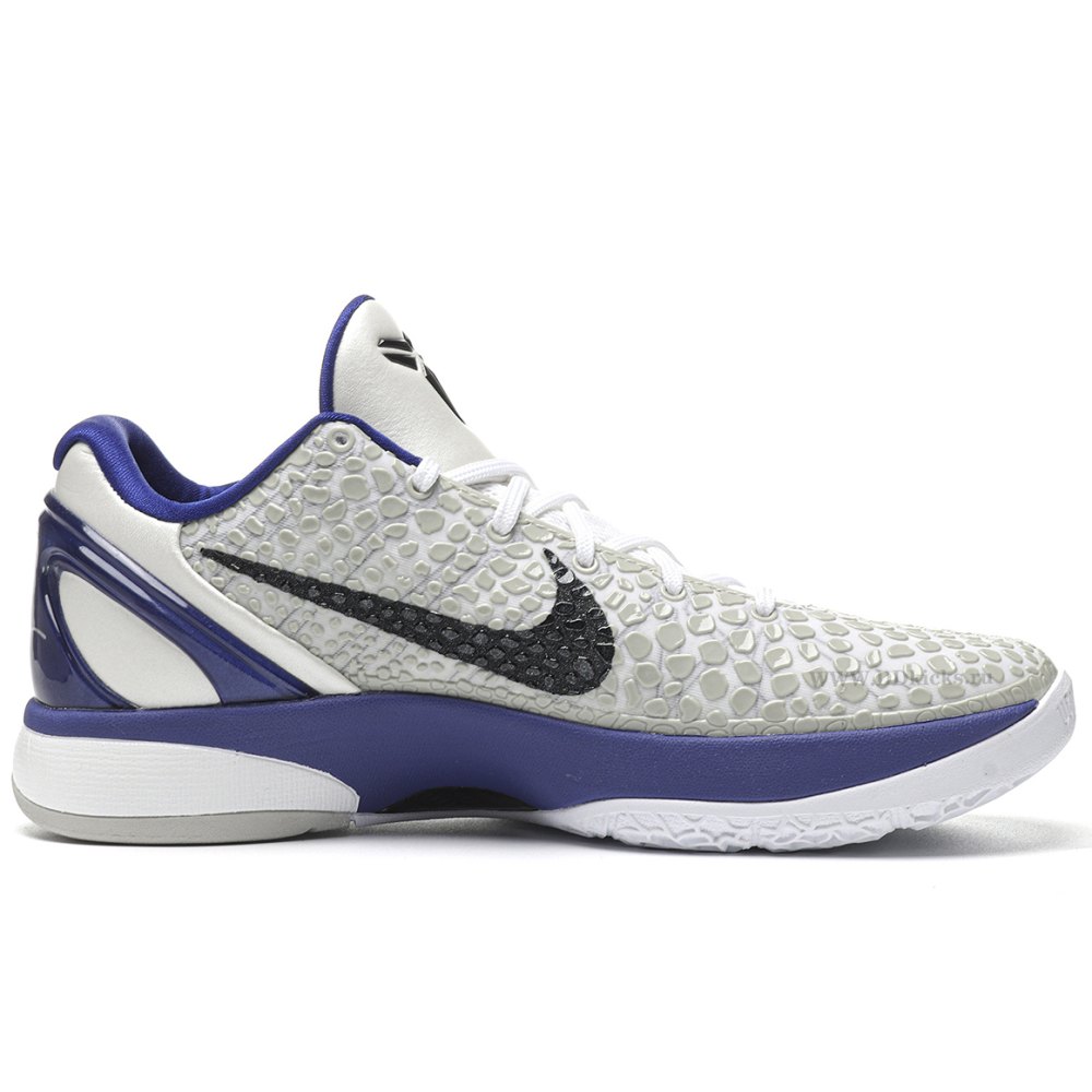 DD Nike Kobe 6 Concord