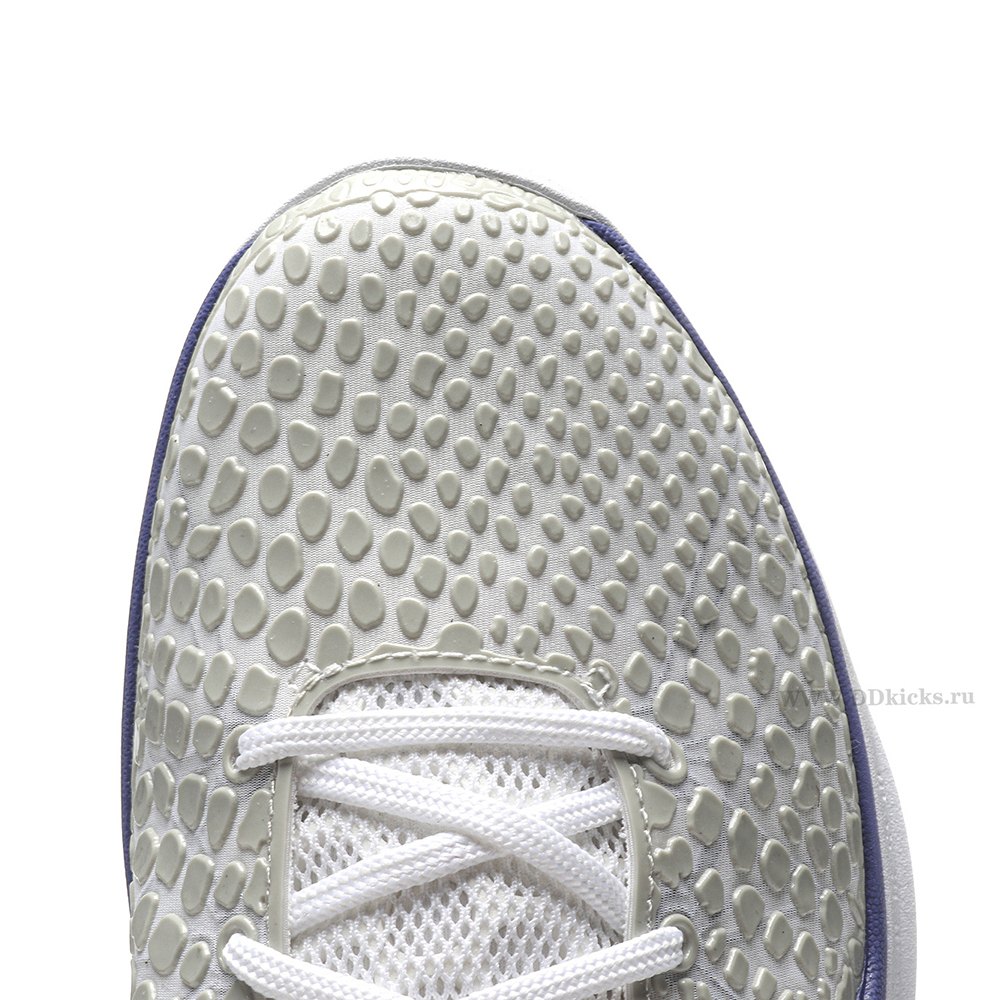 DD Nike Kobe 6 Concord