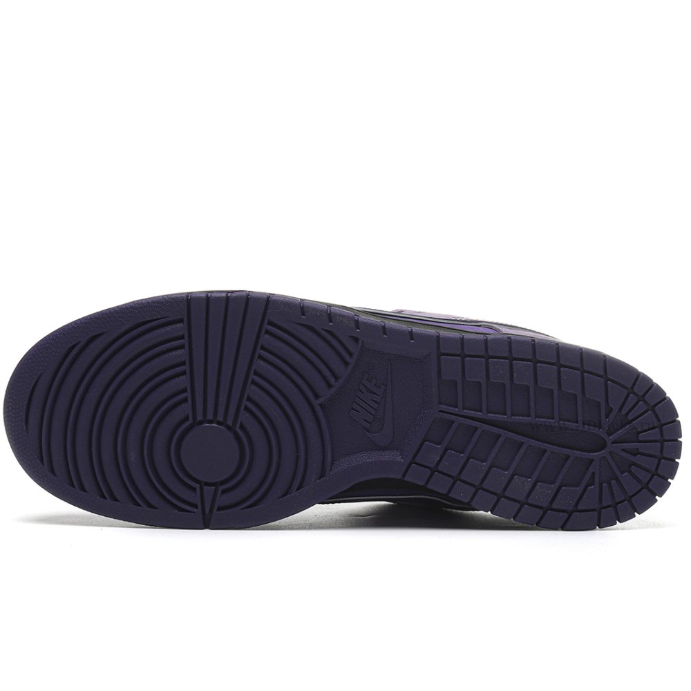 DD Nike SB Dunk Low Concepts Purple Lobster