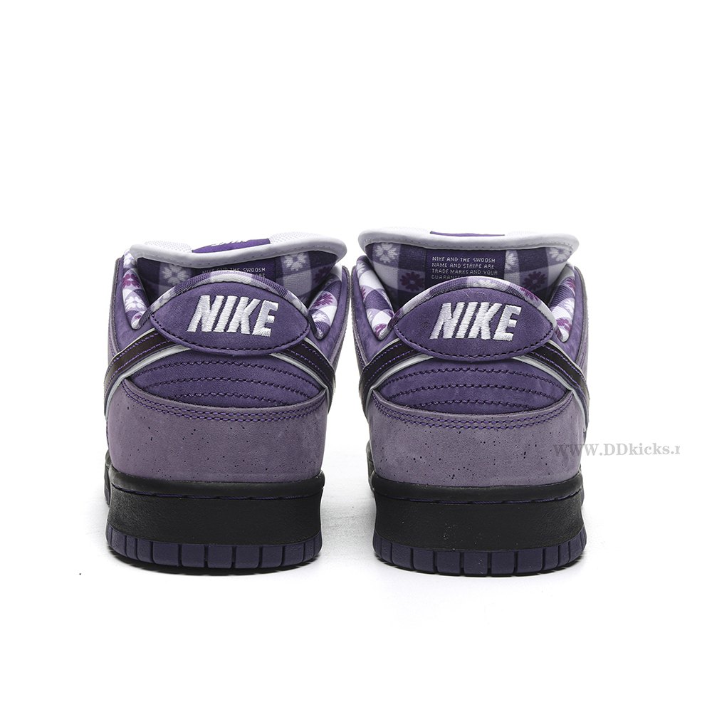 DD Nike SB Dunk Low Concepts Purple Lobster
