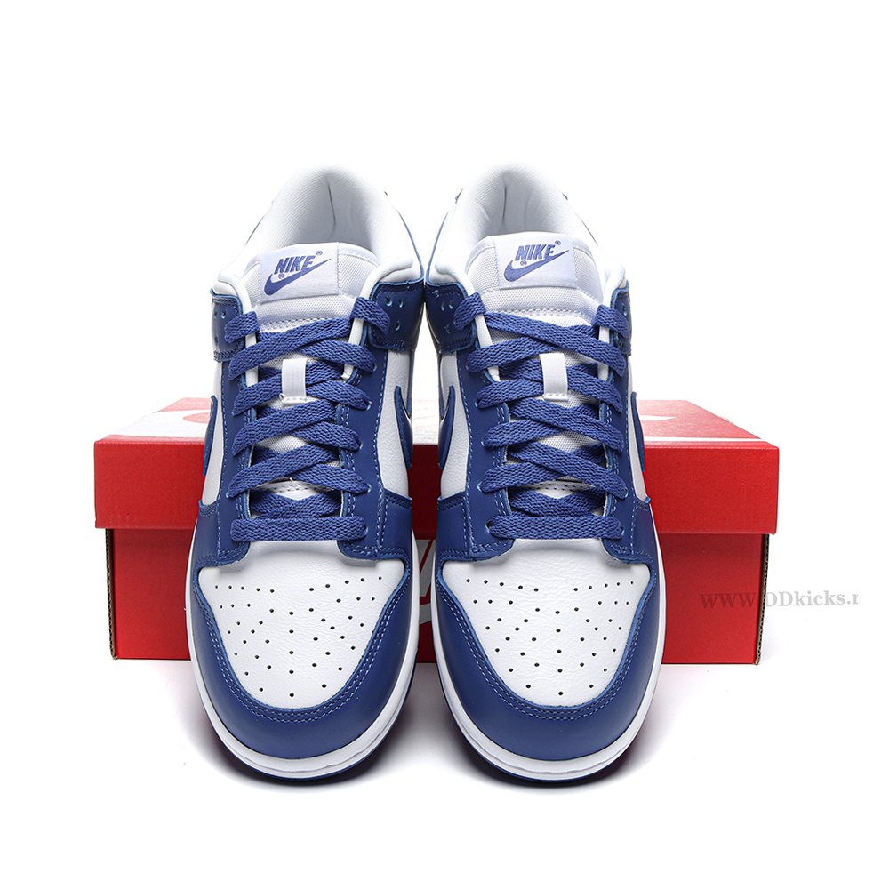 DD Nike Dunk Low SP Kentucky
