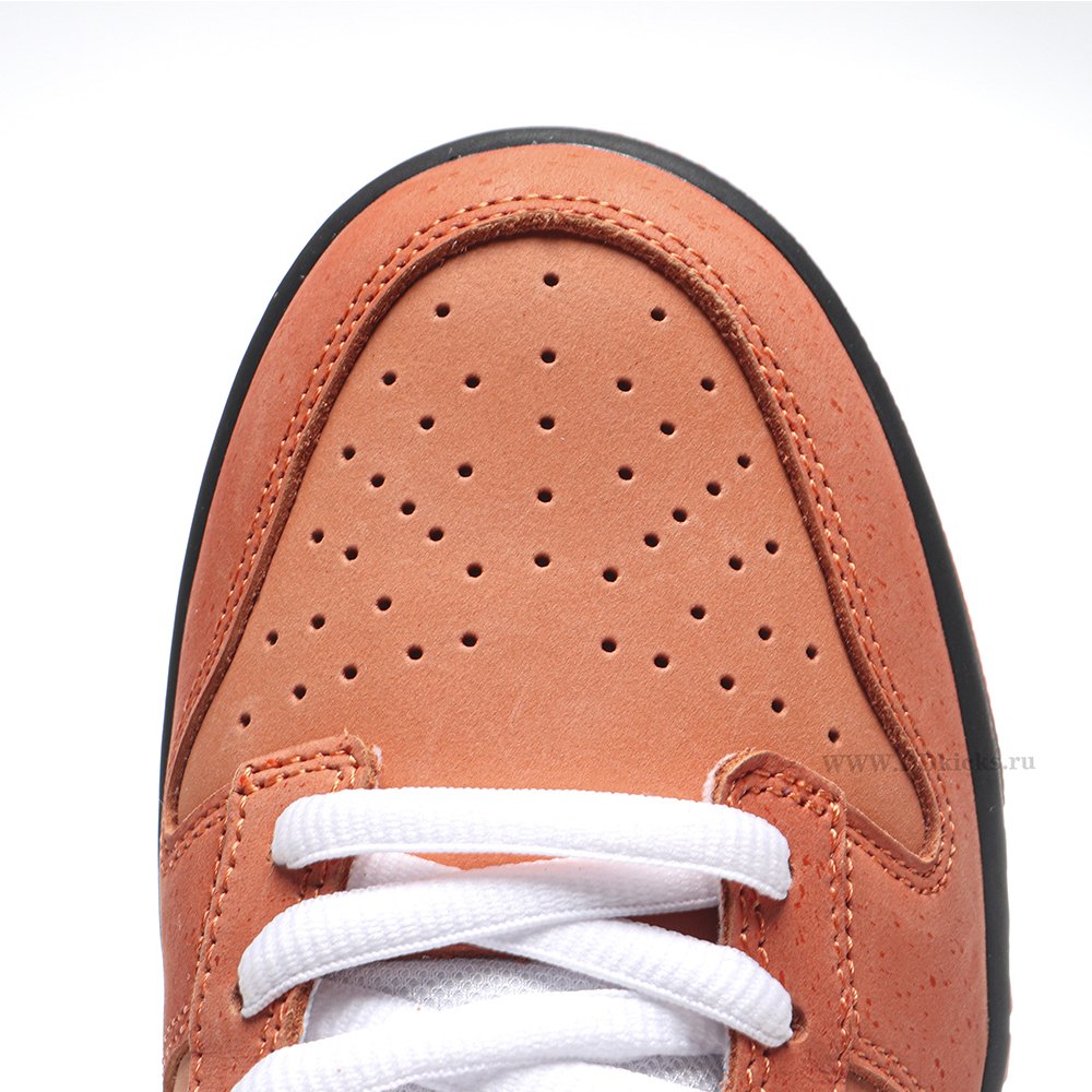 DD Nike SB Dunk Low Concepts Orange Lobster