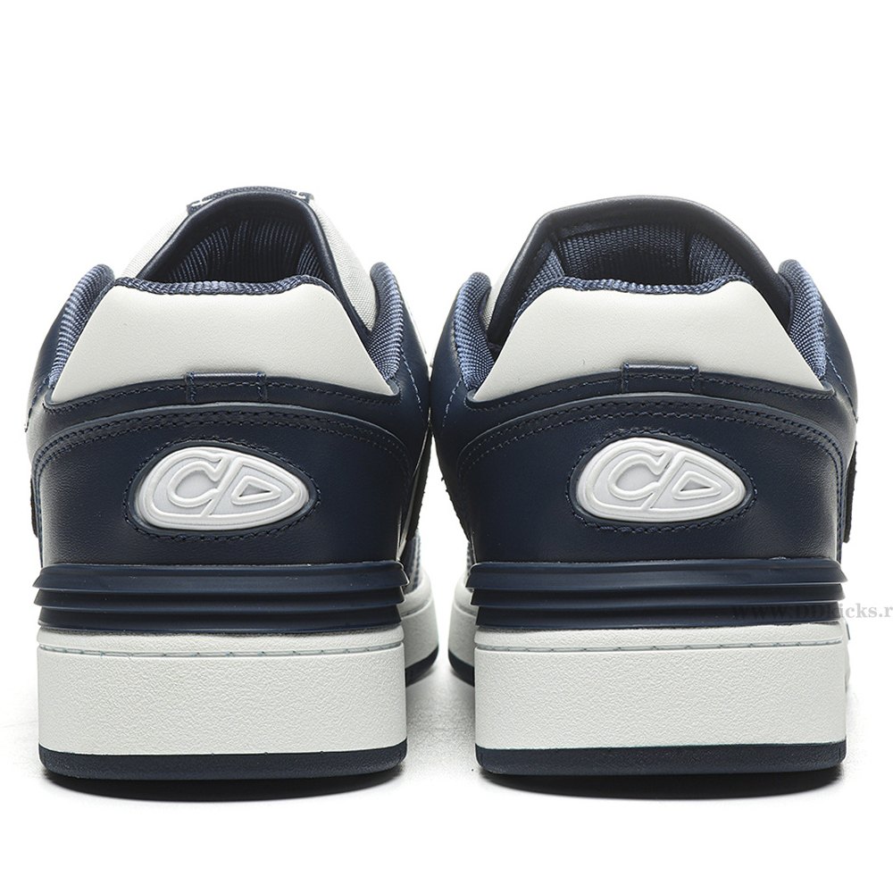 DD D10R B57 Mid Oblique Blue