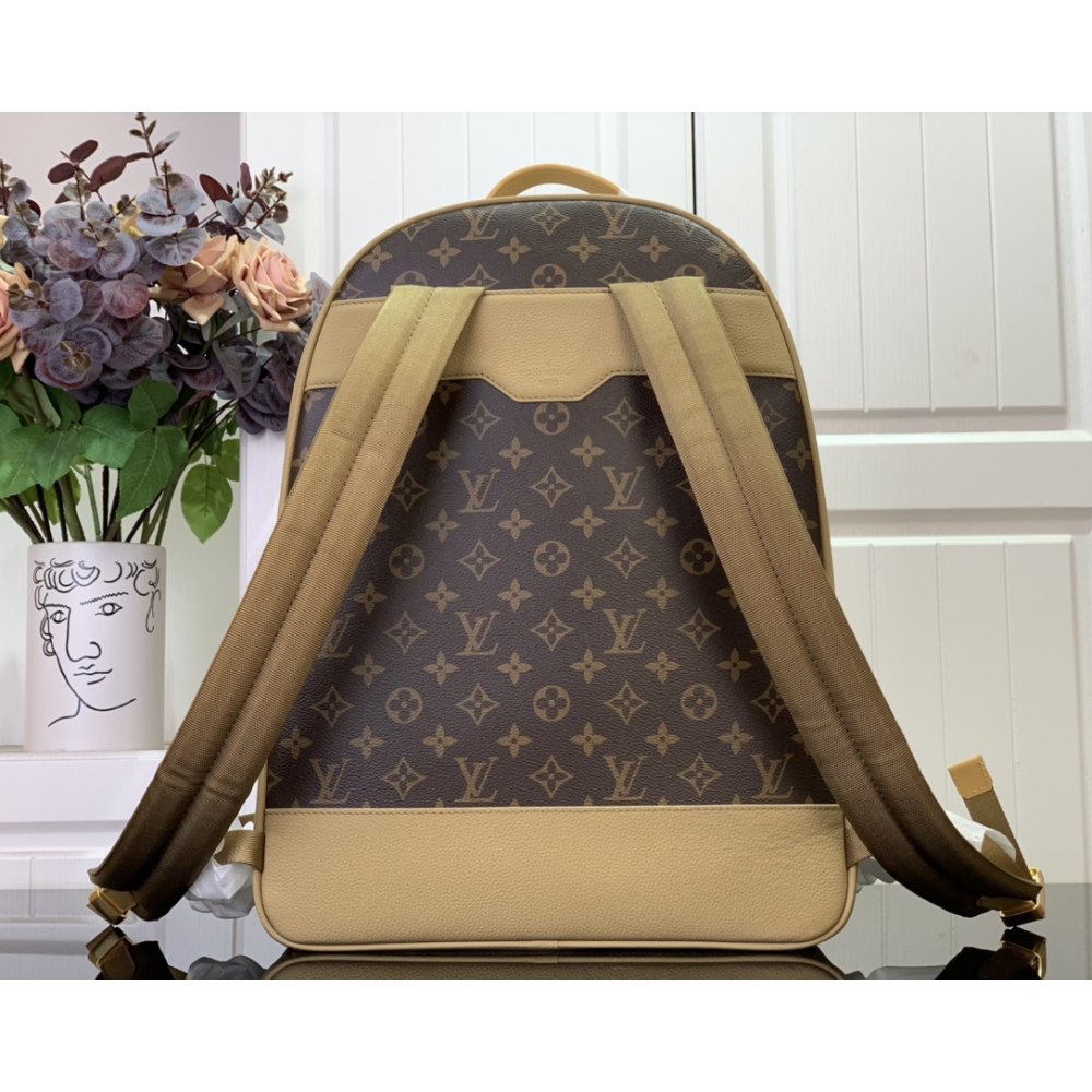 DD L0*1S VU1TT0N Outdoor Backpack  M12624