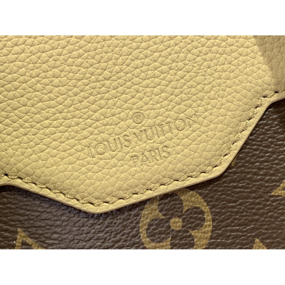 DD L0*1S VU1TT0N Outdoor Backpack  M12624