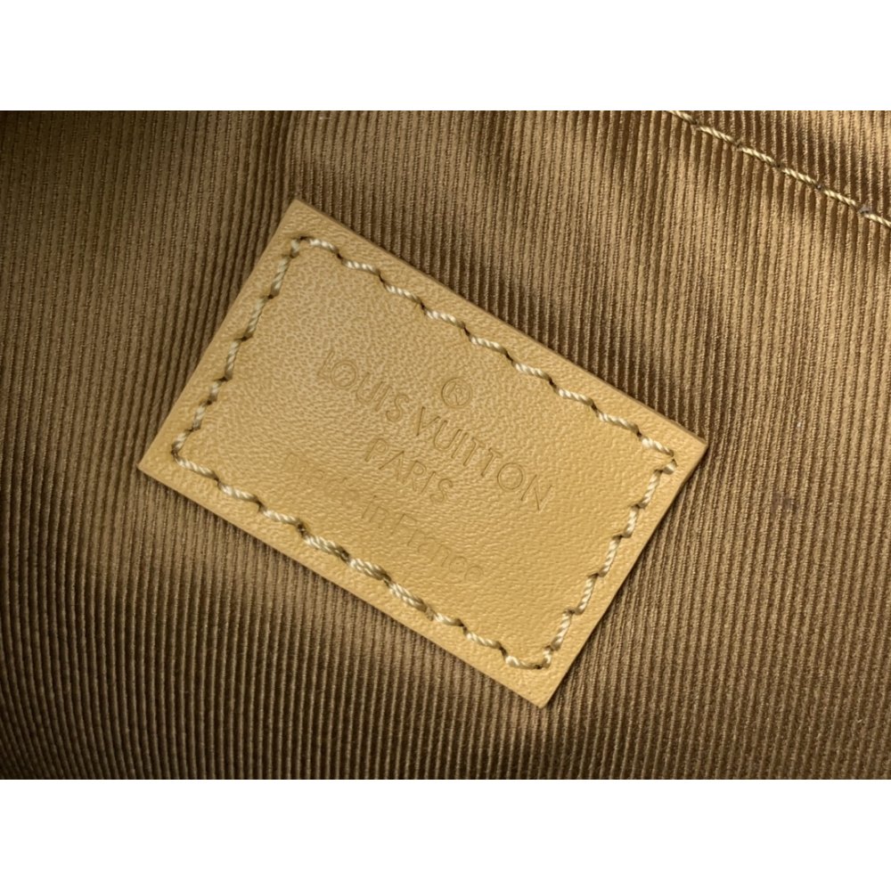 DD L0*1S VU1TT0N Outdoor Backpack  M12624