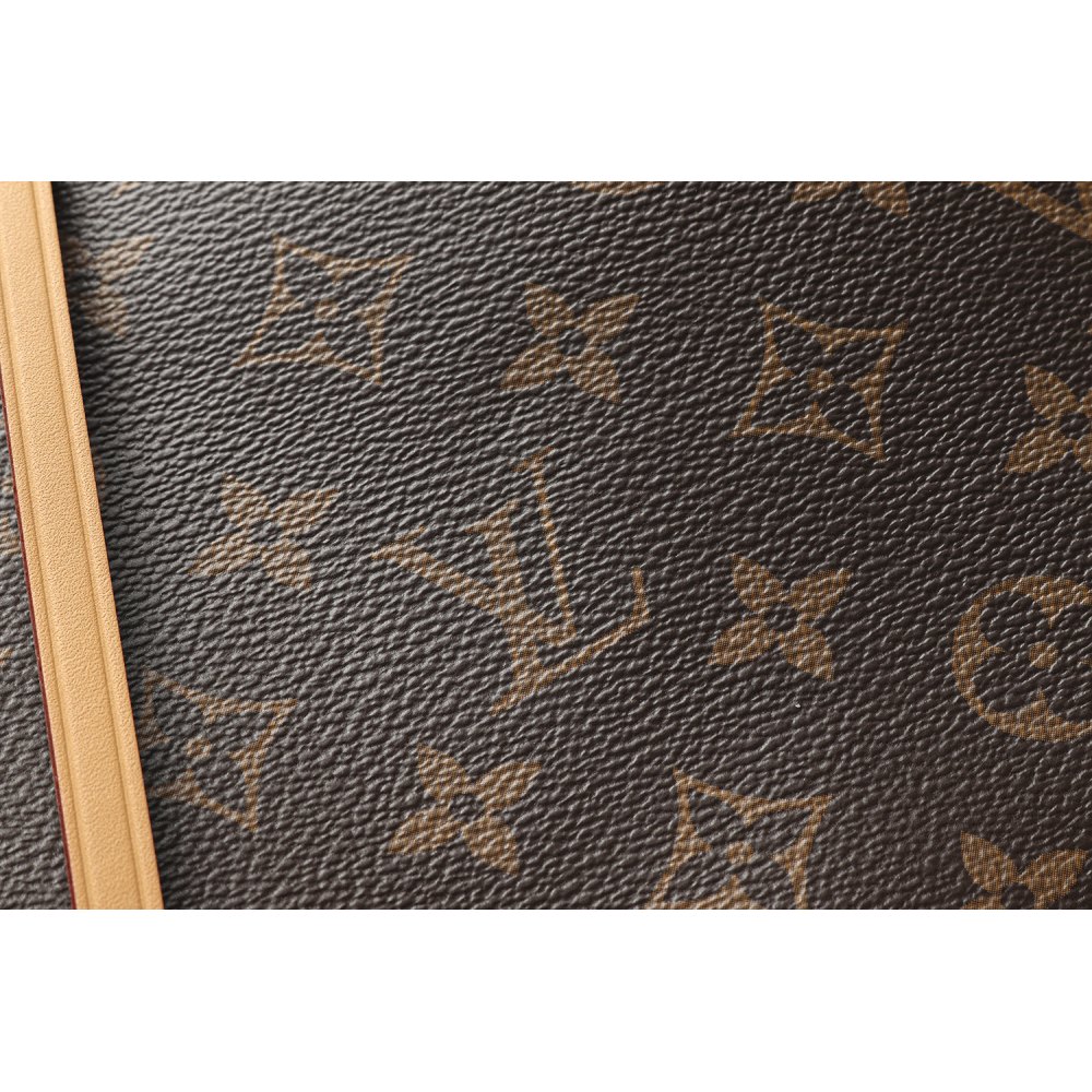 DD L0*1S VU1TT0N CarryAll PM Monogram M46203